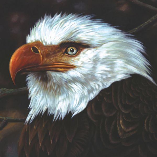 Fichier:Mogwai - 2008 - The Hawk Is Howling.jpg