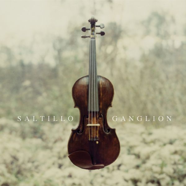 Fichier:Saltillo - 2006 - Ganglion.jpg
